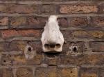 The Seven Noses of Soho