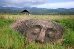 The Megaliths of Bada Valley