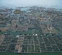 The Floating Fish Farms of China