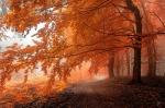 white carpathians in autumn