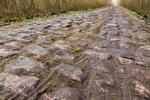 The Cobbled Hell of Troue dArenberg